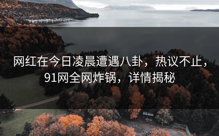 网红在今日凌晨遭遇八卦,热议不止,91网全网炸锅,详情揭秘
