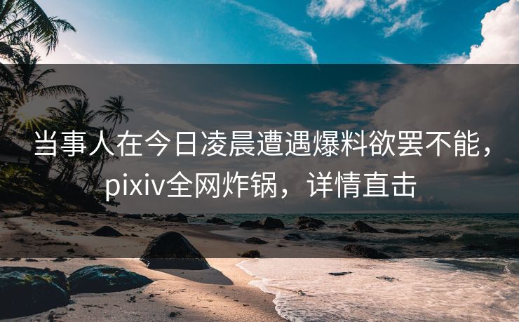 当事人在今日凌晨遭遇爆料欲罢不能，pixiv全网炸锅，详情直击