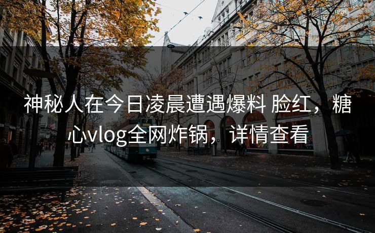 神秘人在今日凌晨遭遇爆料 脸红，糖心vlog全网炸锅，详情查看