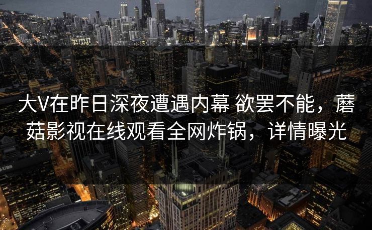 大V在昨日深夜遭遇内幕 欲罢不能，蘑菇影视在线观看全网炸锅，详情曝光