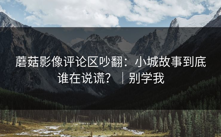 蘑菇影像评论区吵翻:小城故事到底谁在说谎?|别学我