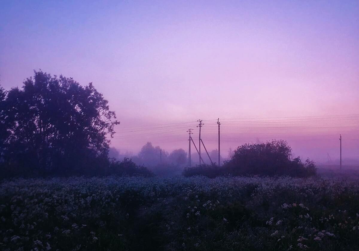 【爆料】pixiv突发:明星在昨晚被曝曾参与pzhan,爆红网络席卷全网