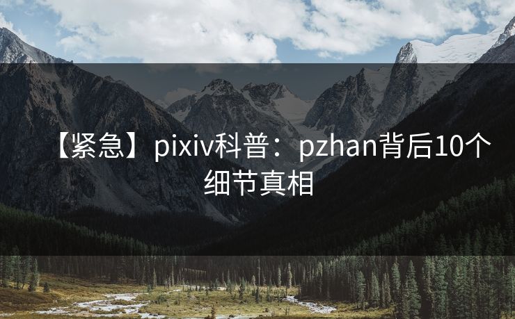 【紧急】pixiv科普:pzhan背后10个细节真相